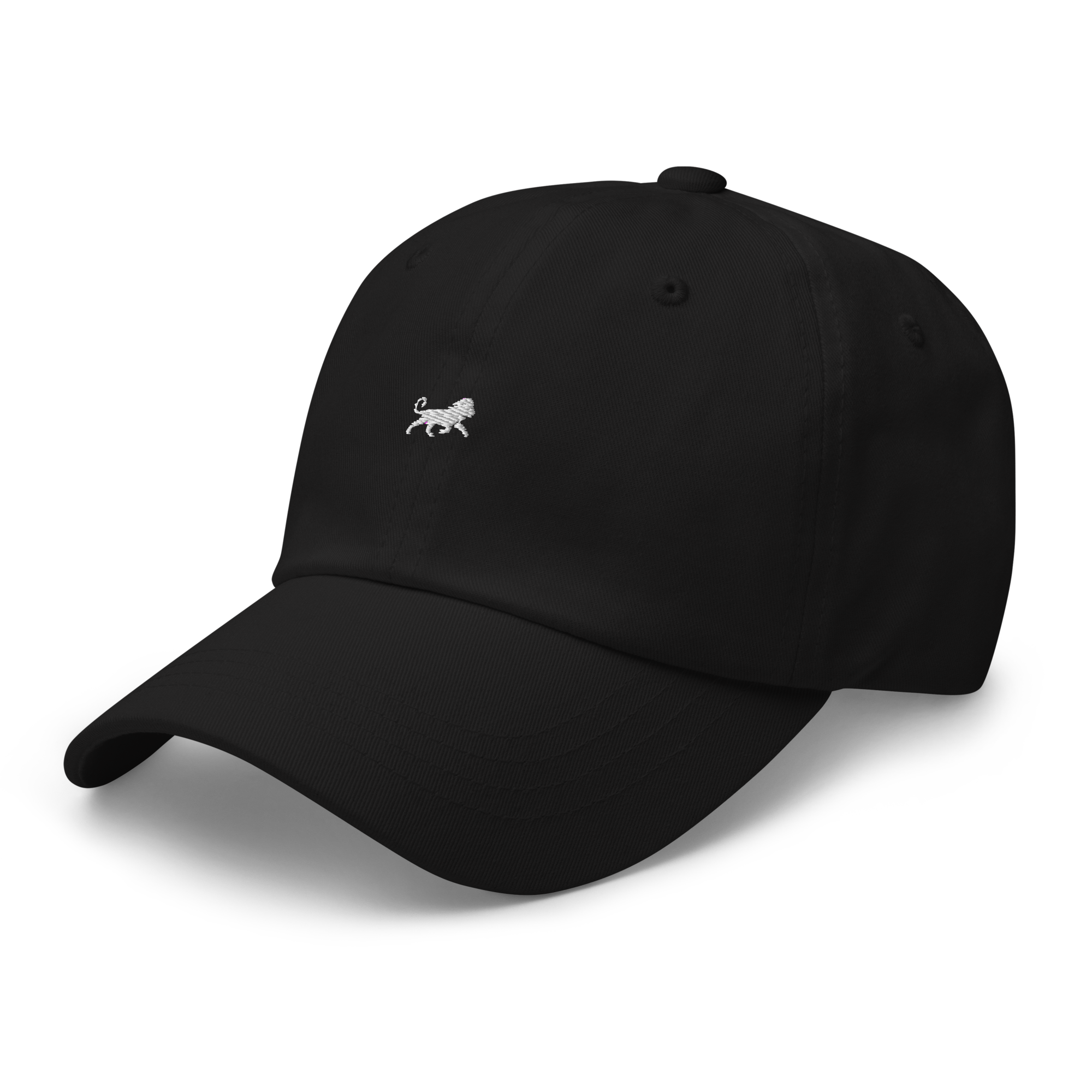 ACCESSORY 001 — The Cap